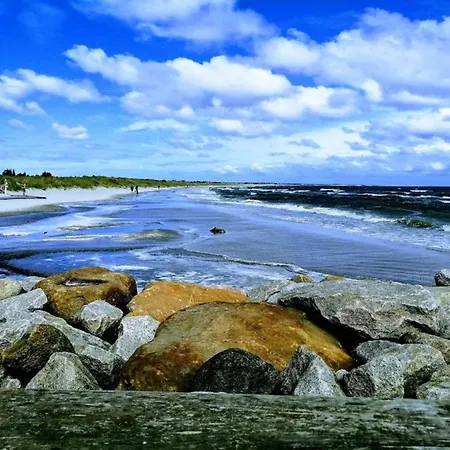 Nyaraló 6 Person In Albaek-by Traum