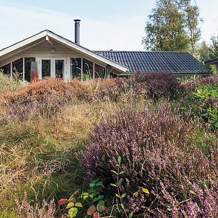 Nyaraló 6 Person In Albaek-by Traum